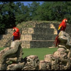 Mayan City Copan